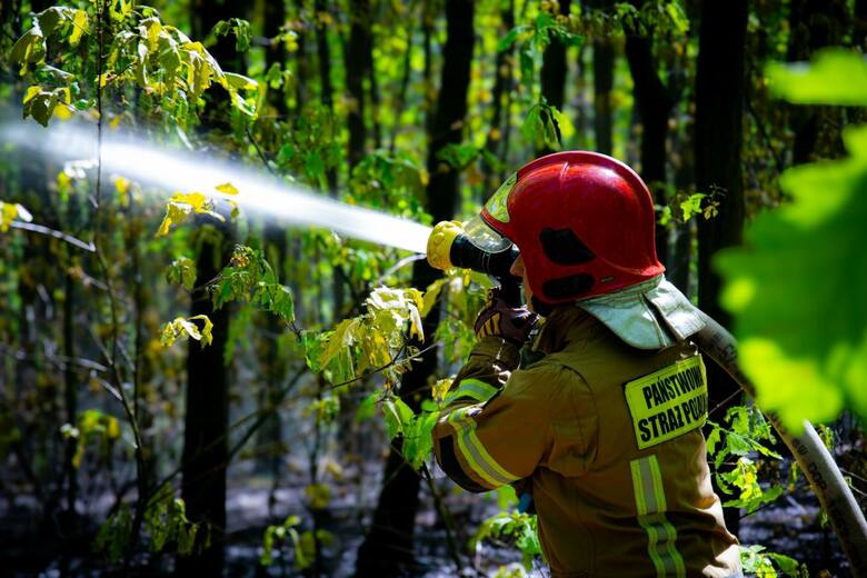 Pożar lasu w gminie Wolbrom (powiat olkuski) - 4 maja