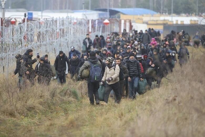 Nielegalni migranci na granicy Białorusi z Polską