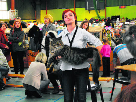 Kot bierze udział w wystawach i pokazach. Na zdjęciu z Karoliną  Majer, żoną pana Jarosława.