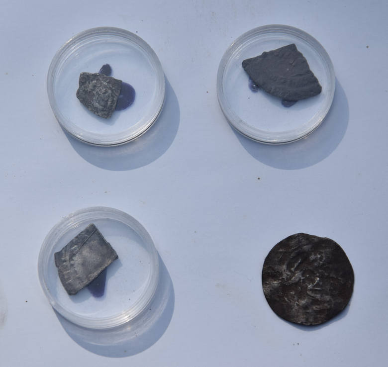 Fragmenty monet znalezione podczas badań archeologicznych w Grodziszczu koło Świebodzina.