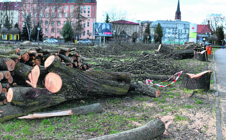 wycinka drzew na działce przy granicy polsko-niemieckiej w Gubinie