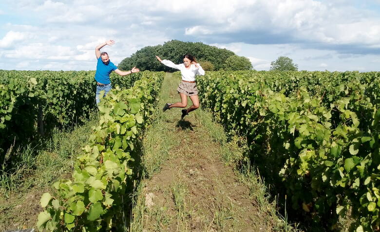 De plus en plus de vignobles autour de Zielona Góra vous invitent non seulement pendant les vendanges