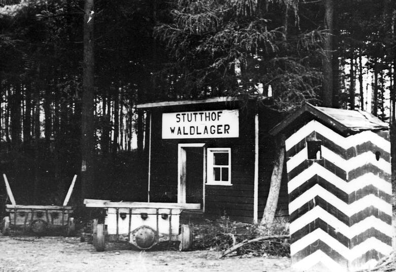 Na zdjęciu stacja kolei wąskotorowej Stutthof Waldlager. Był to jeden z pierwszych widoków, jaki ukazywał się transportowanym do obozu więźniom.