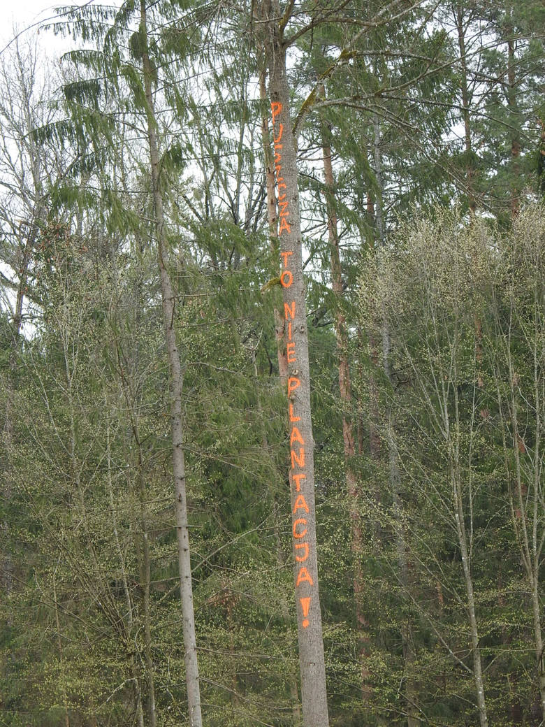 Sadzenie drzew wyglądało jak czyn społeczny w PRL-u. Oprócz leśników, brali w nim udział m.in. strażacy