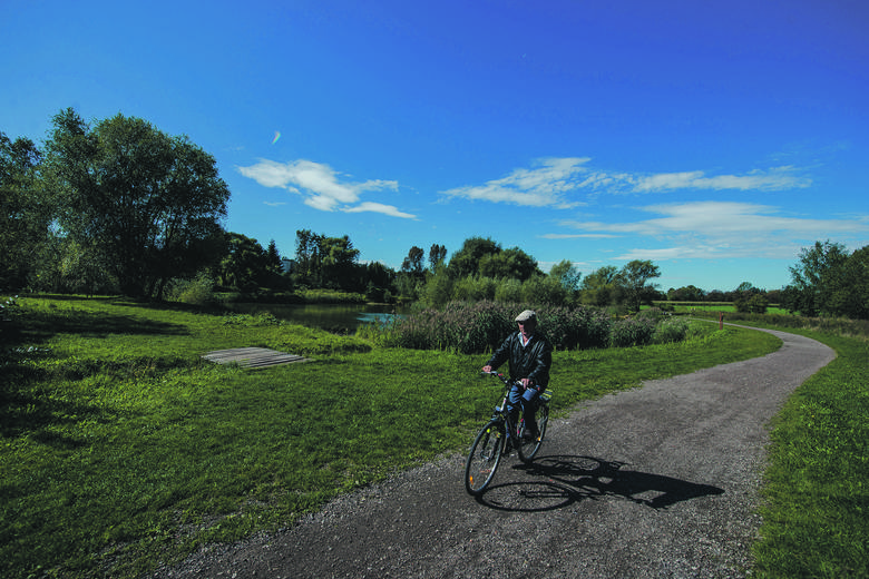 Nowe odcinki ścieżek rowerowych łączących docelowo północ miasta z południem i miastami ościennymi - Chorzowem i Katowicami : osiemnaście i pół kilometra istniejących ścieżek rowerowych wzbogacą zaprojektowane nowe cztery ciągi o łącznej długości dziesięciu kilometrów. 