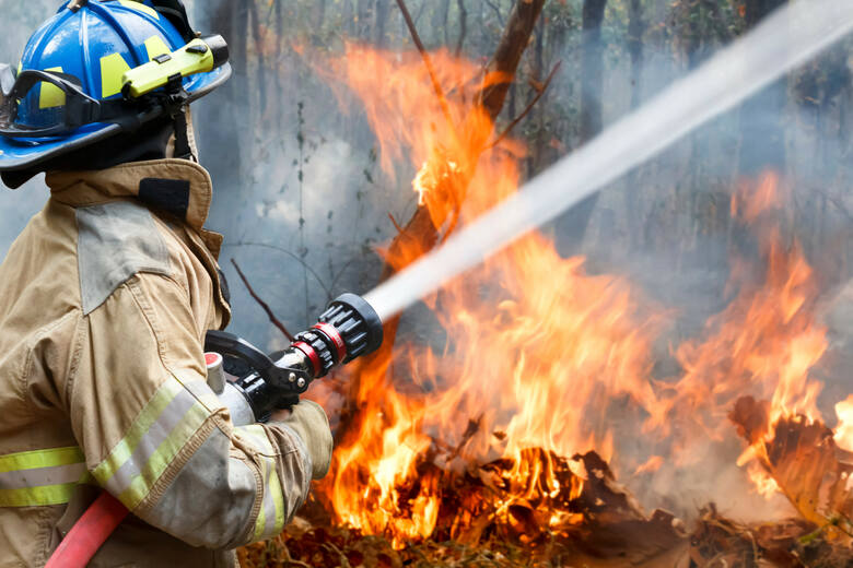 Strażak gaszący pożar lasu