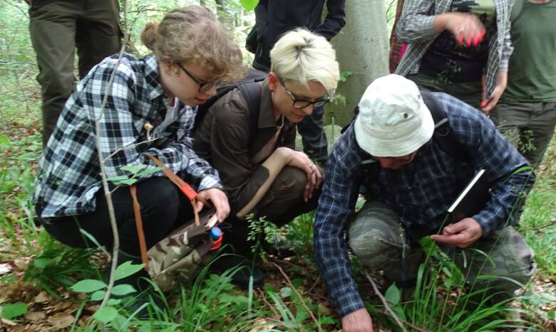 Na poszukiwanie storczyków wyruszyli naukowcy, leśnicy i uczniowie 