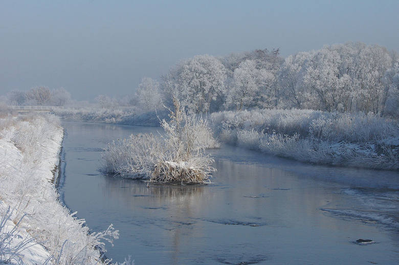 Ner w okolicach Konstantynowa Łódzkiego niesie wody oczyszczone przez Grupową Oczyszczalnię Ścieków
