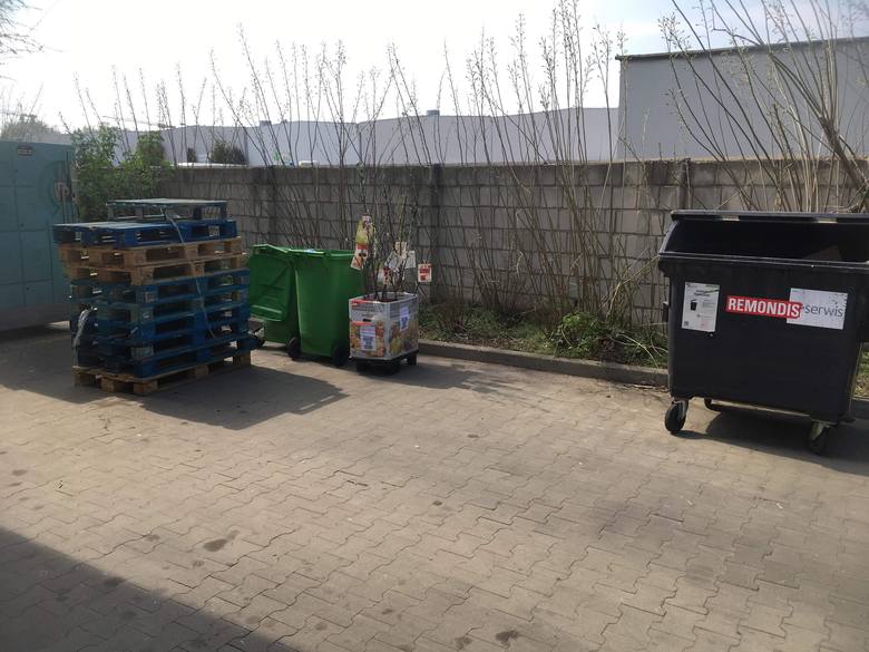 Sadzonki i kwiaty zostały wyrzucone do pojemnika na bioodpady sklepu Biedronki przy ul. Strzeszyńskiej 