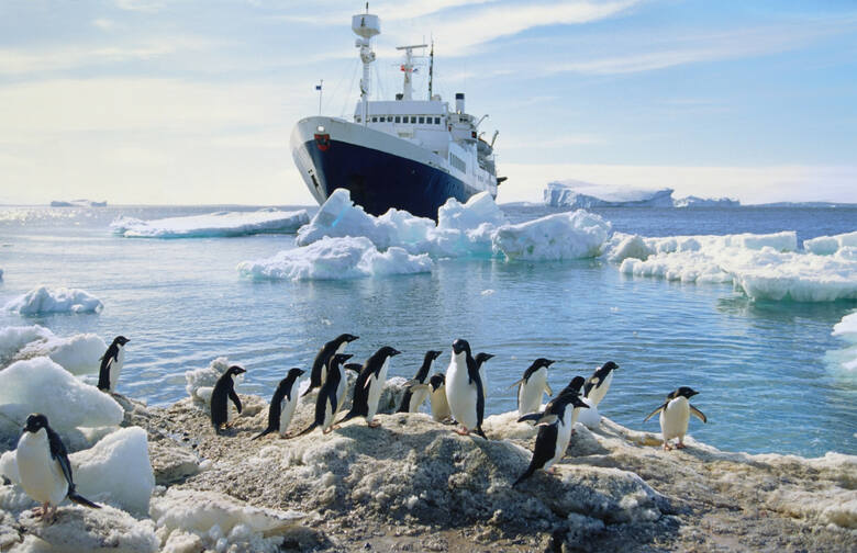 Pingiwny i lodołamacz na Antarktydzie