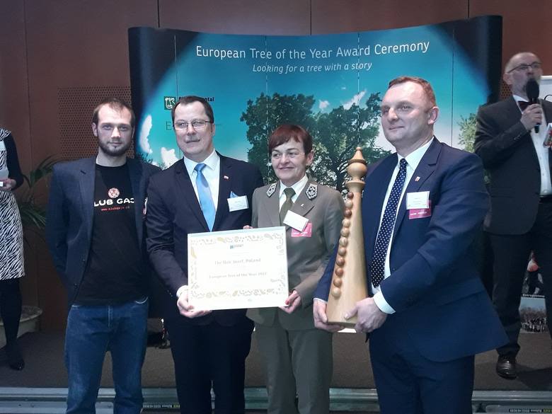Europejskim Drzewem Roku 2017 został Dąb Józef z Polski!