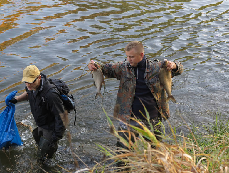 Przez kilka tygodni wędkarze, miłośnicy Warty wyławiali z rzeki martwe ryby.