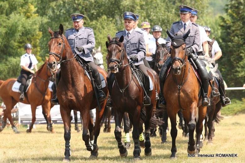 Zawody policji konnej w Częstochowie
