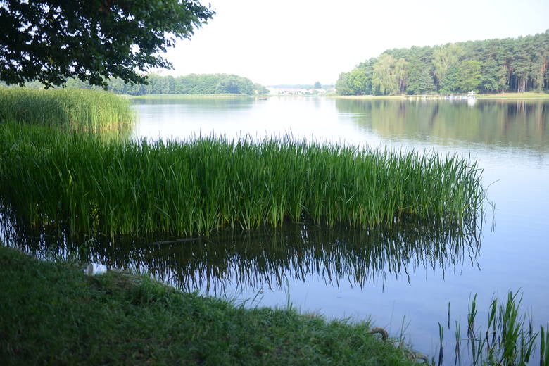 Jezioro Wojnowskie składa się z dwóch części i przypomina... procę lub literę „Y”,  z prawym ramieniem przeciętym przez most. Na jednym końcu części zachodniej znajduje się śluza, która reguluje przepływ wody.