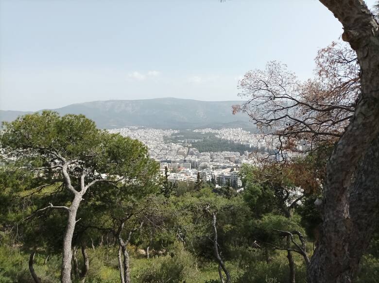 Ze szlaku na wierzchołek wzgórza Lycabettus rozciągają się piękne widoki na Ateny.