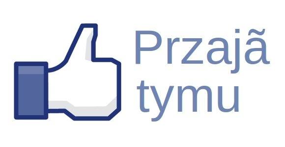 Facebook po śląsku: Ślonsko godka oficjalnym językiem Facebooka