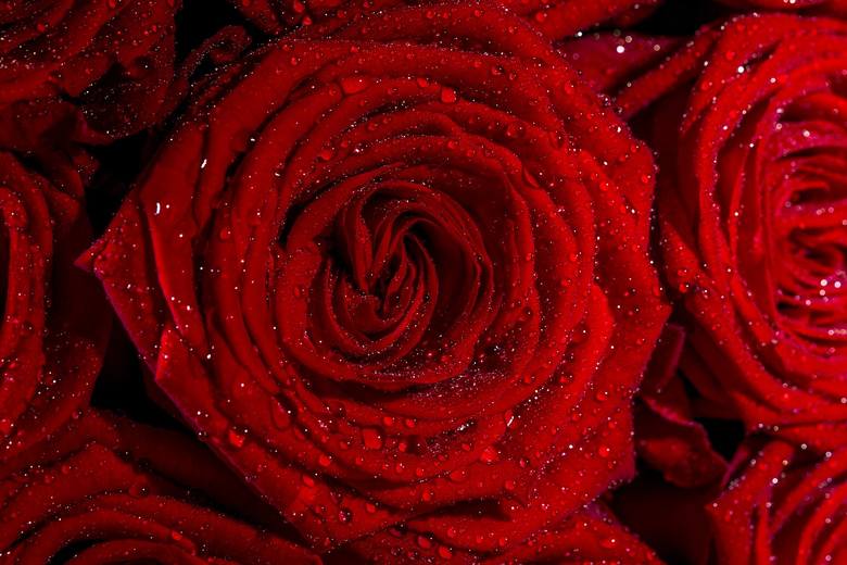 <strong>Bukiet kwiatów</strong><br /> To obowiązek każdego mężczyzny, by szczególnie tego dnia podarować Swojej Ukochanej kwiaty. Nieważne, czy to będzie prezent główny, czy tylko uzupełnienie. Pamiętajcie, intensywnie czerwone róże to symbol miłości!<br /> 