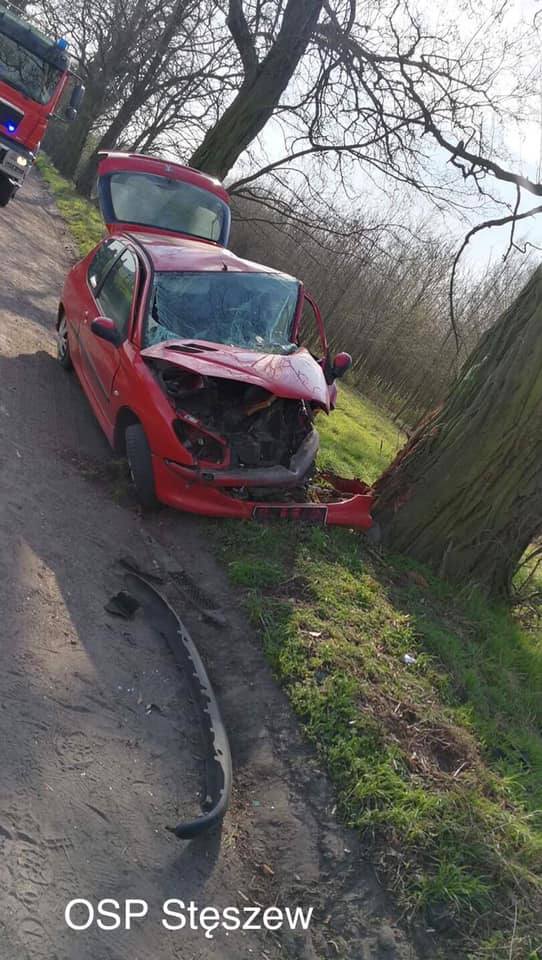 Wypadek w Puszczykowie Uderzyła samochodem w drzewo