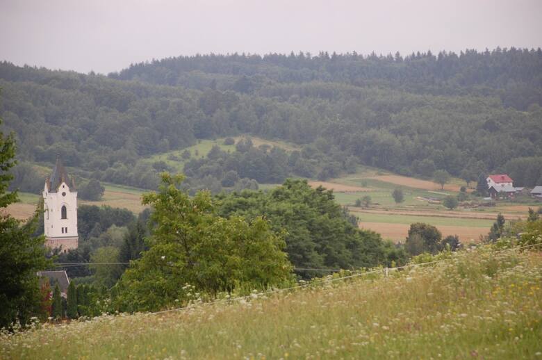 Widok z łąki, gdzie pasły się konie, na Bieździedzę i okoliczne lasy