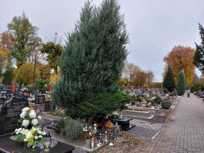 Grób Zuzanny Wartenberg na cmentarzu komunalnym w Oleśnie