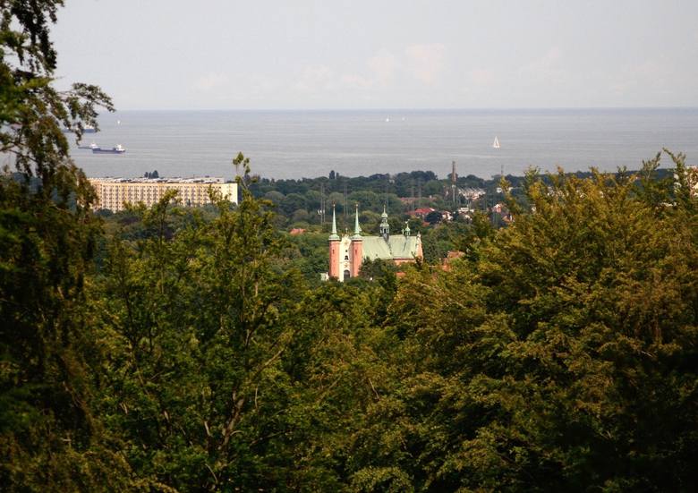 Widok „Andrzeja” znajduje się w Dolinie Szwabego w Oliwie na wzgórzu zwanym Górą Przyjaciół, ponad ul. Bytowską