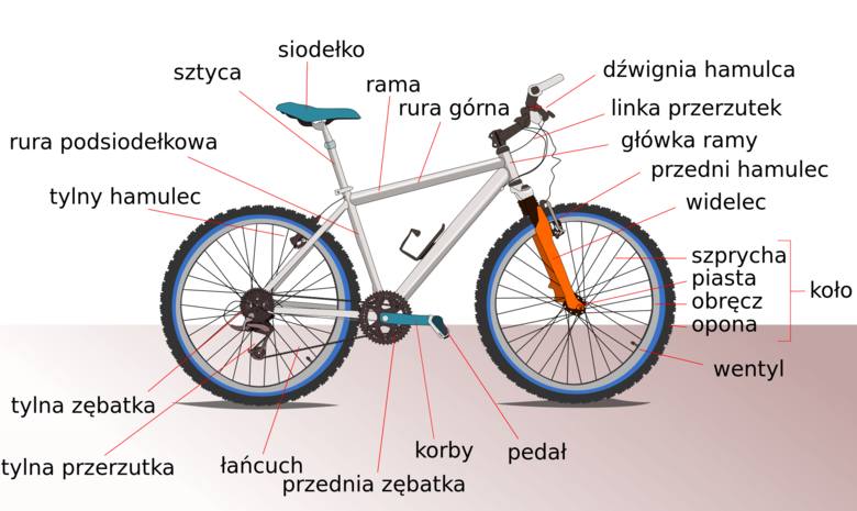 Podstawowe elementy budowy roweru.
