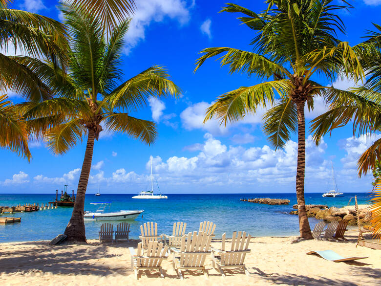 Słoneczna plaża na Dominikanie