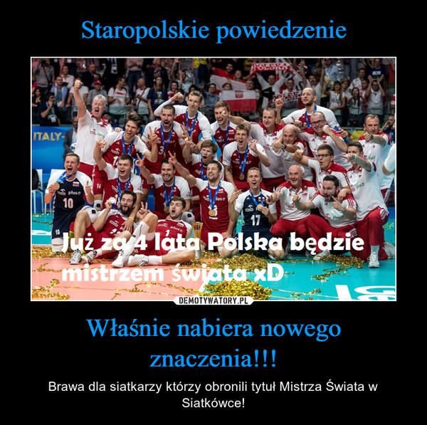 Polska mistrzem świata! MEMY. Brazylia pokonana 3:0 ...