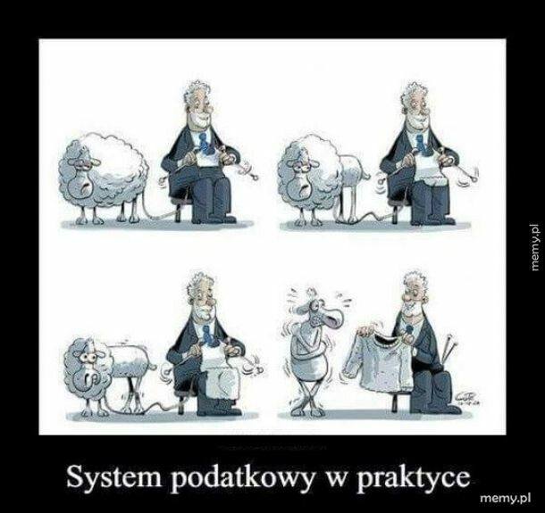 Nowy Lad Czy Nowy Vat Memy O Podatkach Mateusza Morawieckiego Beda Nowe Pis Oglasza 10 Hasel Programu Rozwoju Polski Echodnia Eu