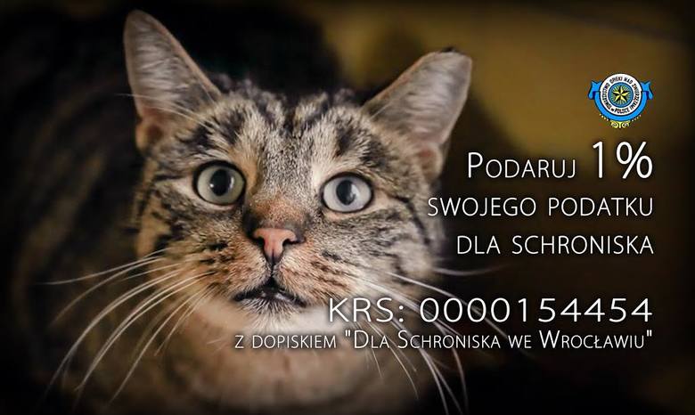 Prosimy, pomóż Podopiecznym wrocławskiego Schroniska dla Bezdomnych Zwierząt!