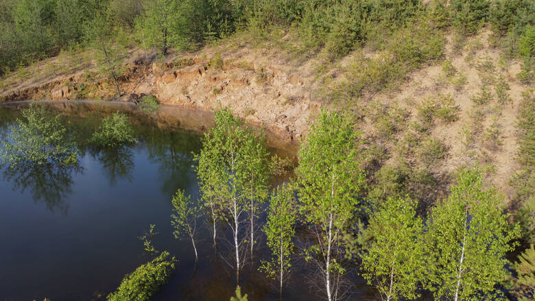 Wschodnia część dawnego wyrobiska kopalni piasku w Bolesławiu