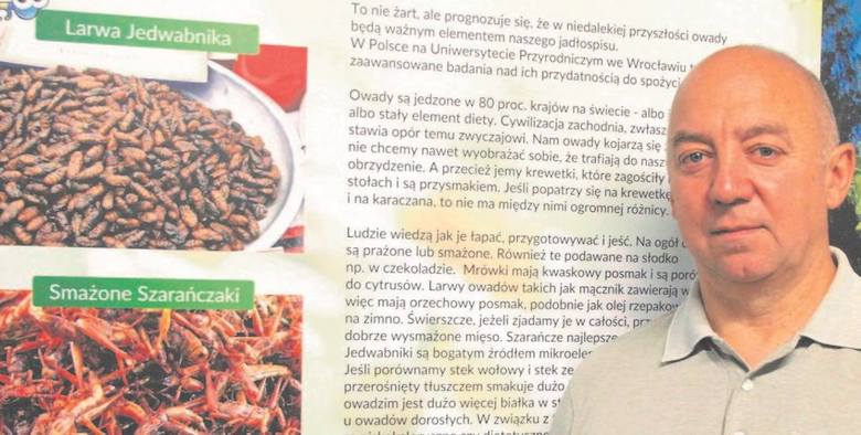 Piotr Sołkiewicz, prowadzący Centrum Edukacji Entomologicznej w Kielcach, mówi o muszkach owocówkach.