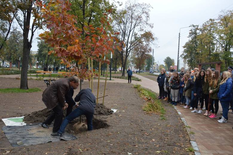 Tablica i dąb poświęcony twórcy ogrodu botanicznego w Łowiczu (Zdjęcia)