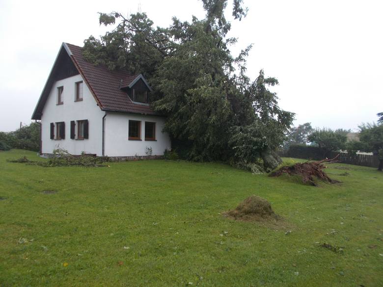 Jakby tego nieszczęścia było mało, to jeszcze na dom Synaków zwaliło się ogromne drzewo i uszkodziło dach