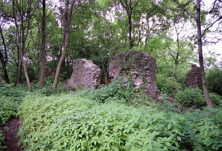 Ruiny zamku w Rudzie Ślaskiej