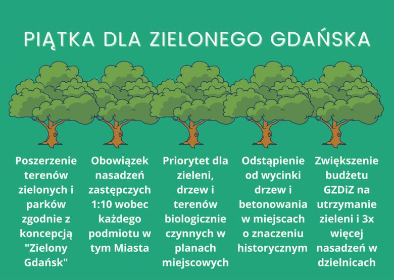 Piątka dla zielonego Gdańska i Nowa zielona polityka - władza i opozycja o ochronie drzew w Gdańsku