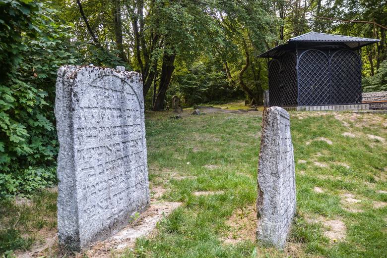 Odkrywamy Lublin: Stary cmentarz za wielkim murem 