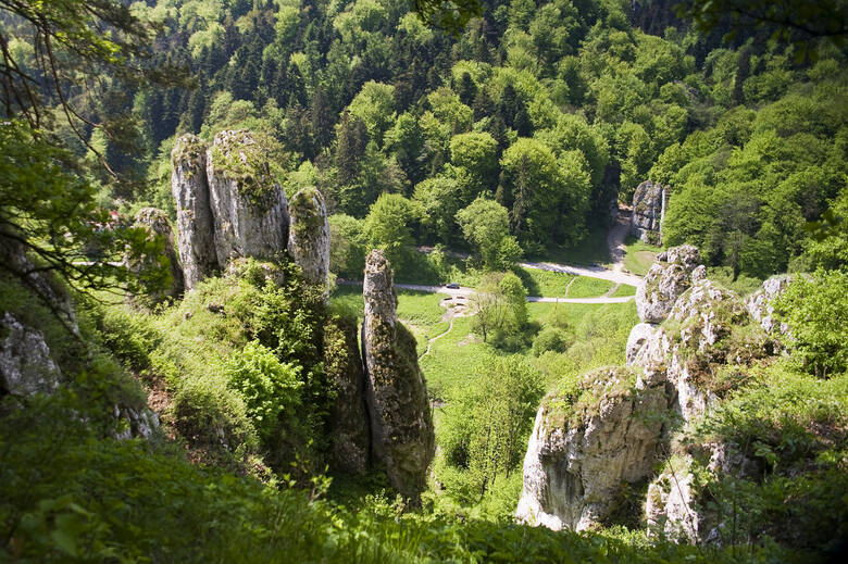 Formacje skalne Ojcowskiego Parku Narodowego