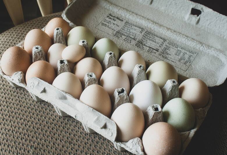 Przeciętna roczna liczba jaj od jednej kury nioski to 249 sztuk (dane GUS 2022).