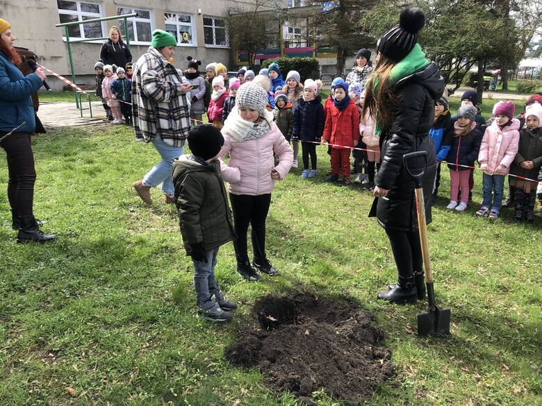 Dzieci z Przedszkola nr 39 w Zielonej Górze posadziły jabłonie w ramach akcji Kwitnące Szkoły, którą promuje Vito Bambino. Jabłonie otrzymały imiona: