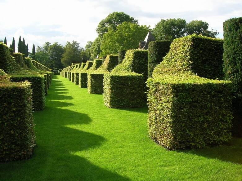 W ogrodzie francuskim przeważają kąty proste oraz wszelkie układy geometryczne.