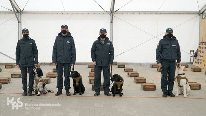 W szkoleniu biorą udział cztery psy służbowe z czterech jednostek KAS - Bruce, Hunter, Negrita i Sony.