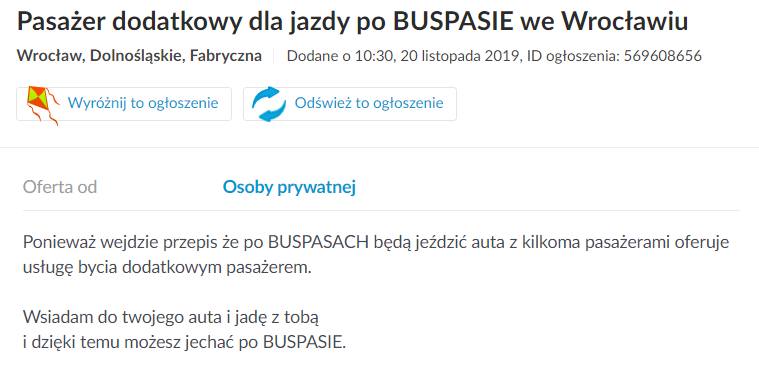 Buspasy jako sposób na biznes? Wrocławianie wiedzą, jak wykorzystać nowe przepisy. Ogłoszenie na Olx to dowód na polską przedsiębiorczość