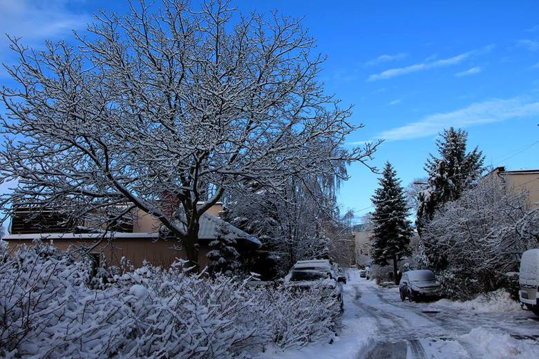 Poniedziałek, 16 stycznia, przywitał mieszkańców Zielonej Góry prawdziwie zimową aurą. W nocy spadło kilka centymetrów śniegu.
