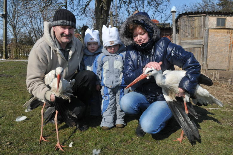 Uratowany ptak powrócił do rodziny Jałtuszewskich