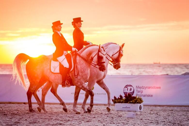 Morze, blask zachodzącego słońca, a do tego wspaniałe konie i artyści zapewnią prawdziwe widowisko. Poza samą areną, na której odbywać się będą zawody
