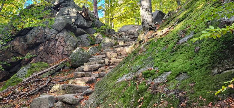 Oficjalna nazwa skalnych schodów na zamek to schody Kunegundy. Ale miłośnicy trylogii Tolkiena nazywają je schodami hobbita.