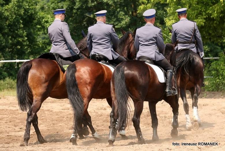 Zawody policji konnej w Częstochowie
