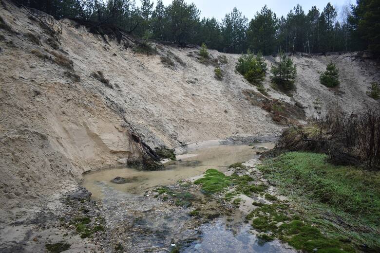 Drastyczny spadek poziomu wody w Sztole - 4 stycznia 2022