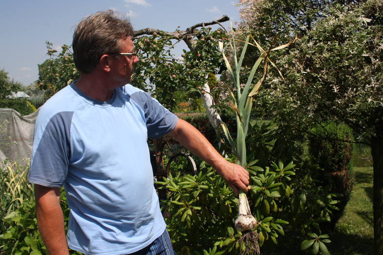 Piotr Holewa przygodę z uprawą gigantycznych warzyw rozpoczął kilka lat temu